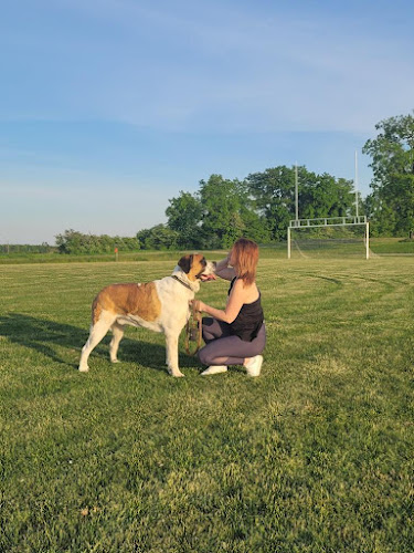 Paws Awhile Just Like Home Pet Sitting