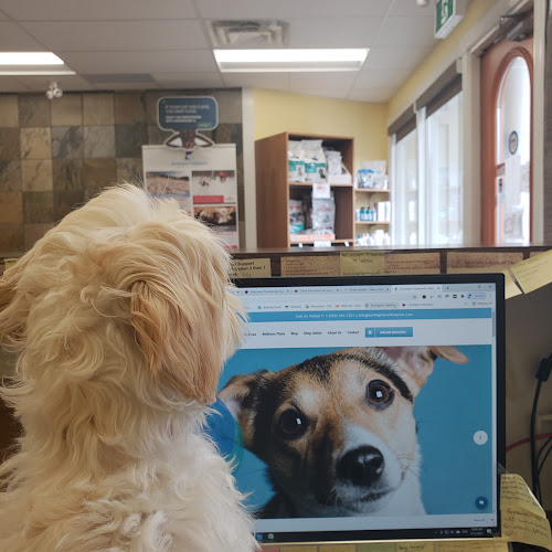 Burlington Lakeshore Veterinary Hospital