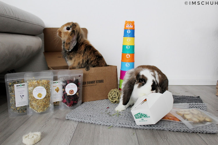 The Green Bunny Store