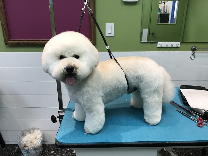 Fluffy’ Spa( Richmond Hill)