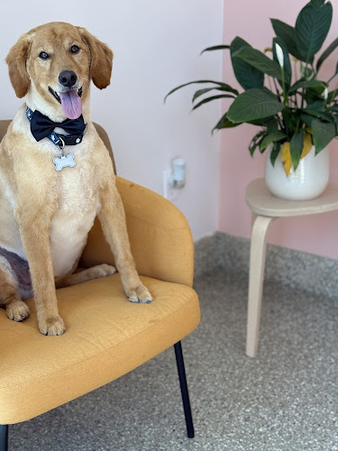 Pet Expert Grooming