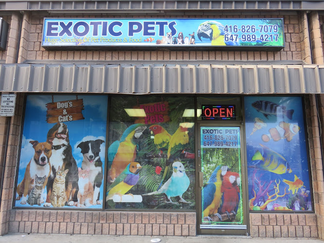 Exotic Pets Toronto