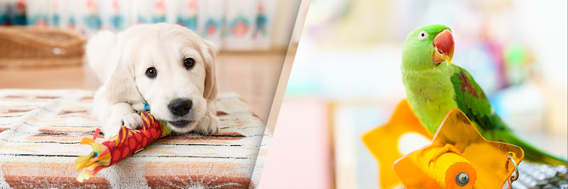Justpetsworld