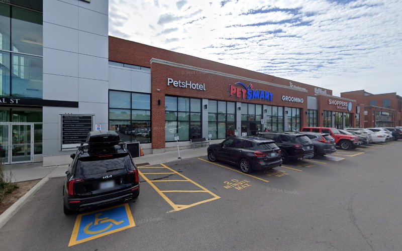 PetSmart Dog Training
