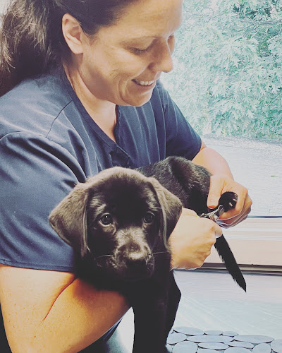 Cambridge Mobile Vet Tech