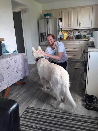 Dillon & Dani’s Private & Affordable Dog Boarding, Dog Daycare & Dog Playground Rentals