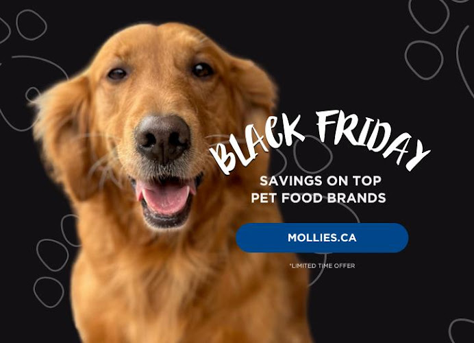 VCA Canada Burgess Animal Hospital