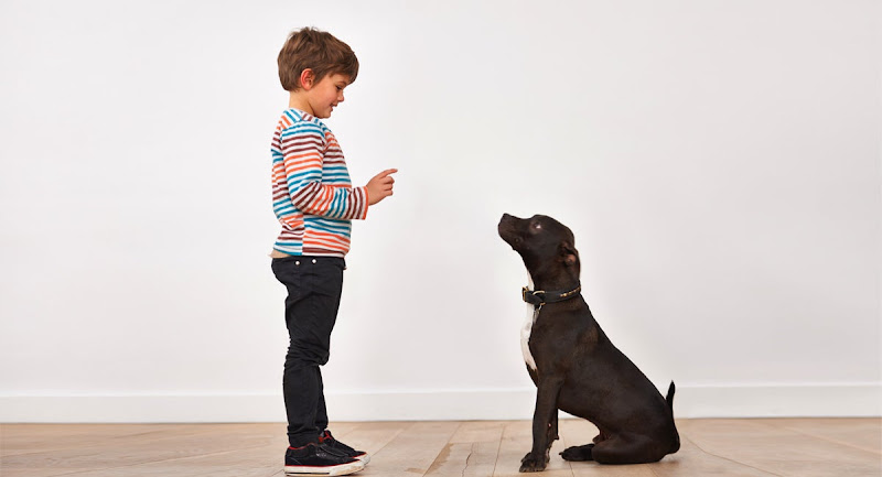 Full Pawtential Dog Training Canada