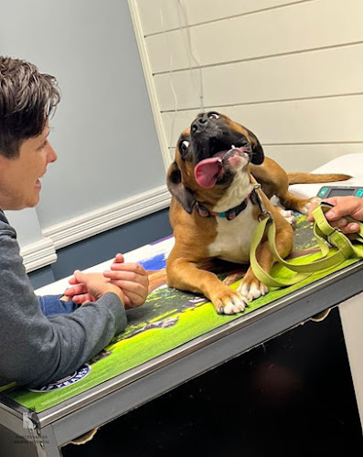Roncesvalles Animal Hospital