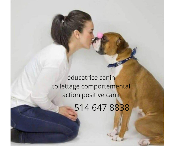 Action positive canin
