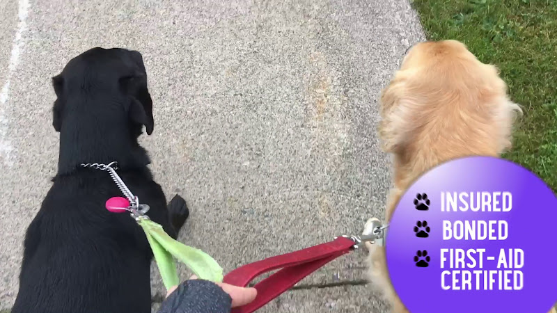 Tails and Trails Professional Dog Walking & Pet Sitting