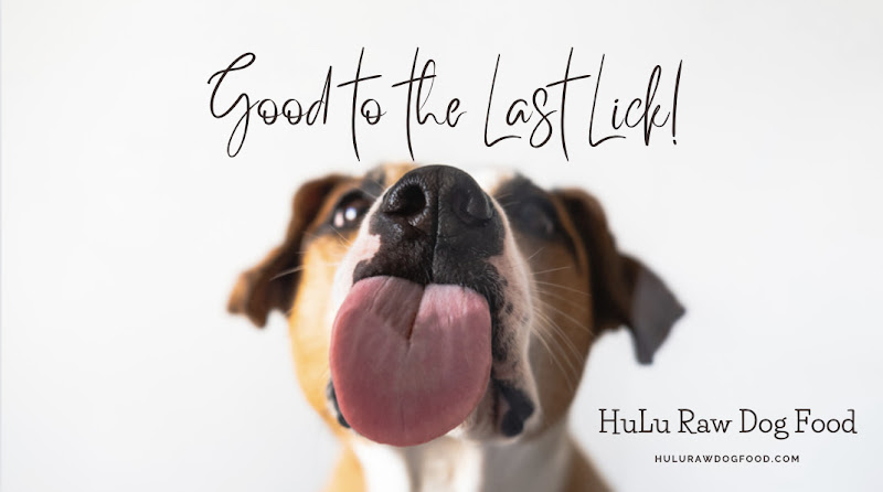 HuLu Raw Dog Food