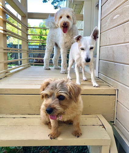 Paws 2 Go Inc