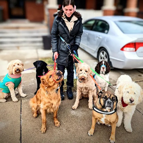Pawfect Strollers