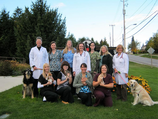 Simcoe Animal Hospital