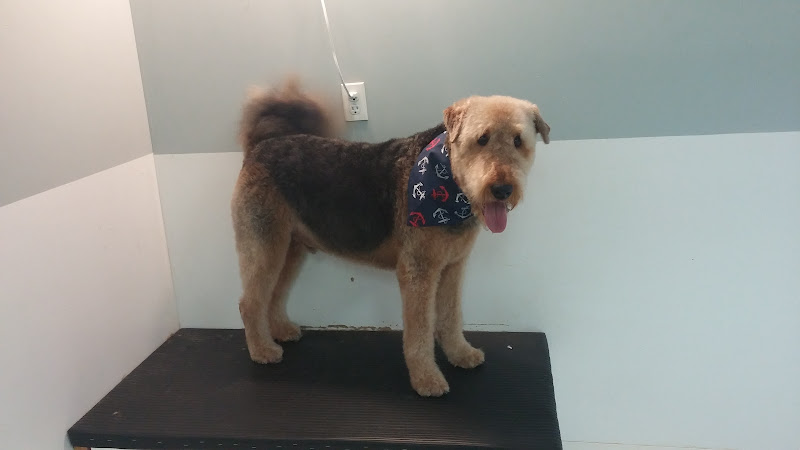 Bark! Boutique