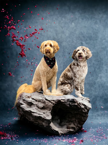 The Pet Parlour