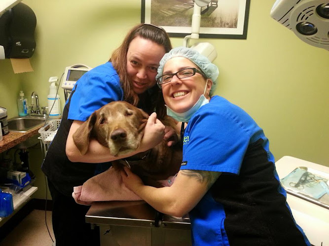 Baxter Animal Hospital