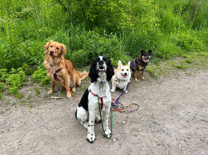 East End Canines