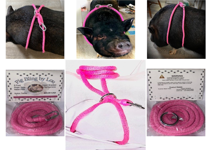 PigBling by Lou