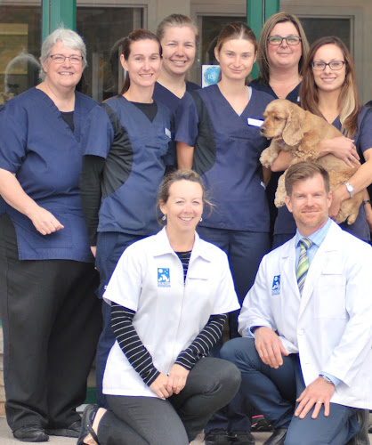 VCA Canada Kortright Animal Hospital