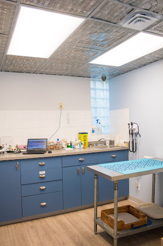 VCA Canada Downtown Animal Hospital