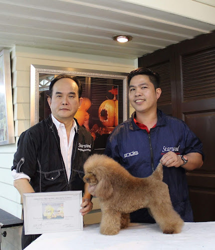 Oliver Professional Dog and Cat Grooming Spa