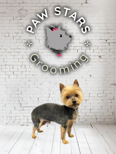 Paw Stars