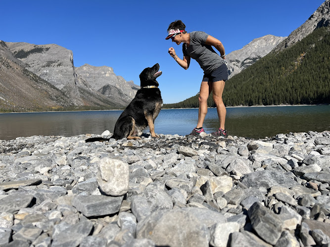 D.O.G. Adventure Walks and Training