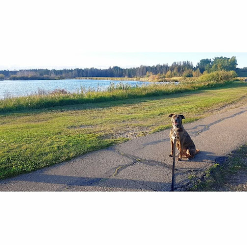 HEART’in’PACK K9