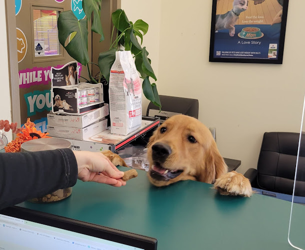 Kenaston Veterinary Hospital