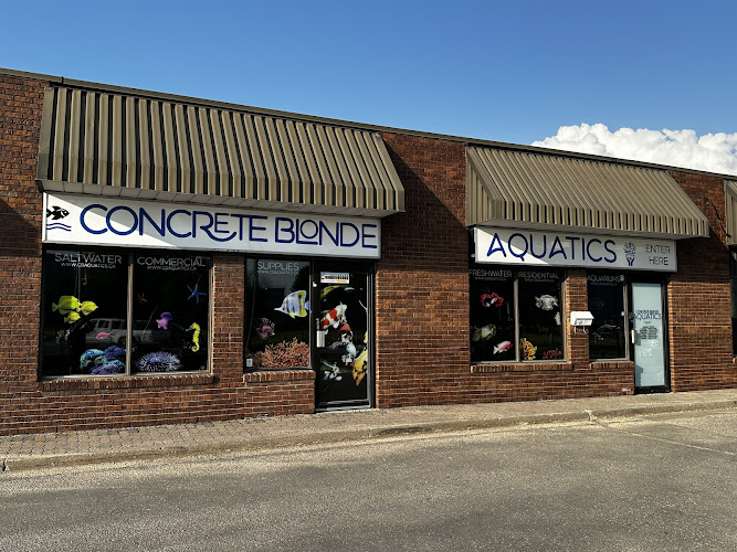 Concrete Blonde Aquatics