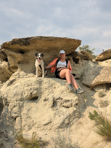 Les Aventures Canines