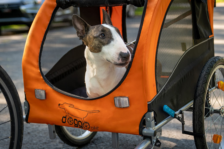 Doggo Bike®