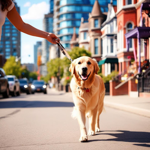 Dog Walks TO