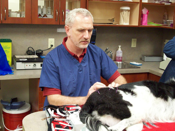 Cedarview Animal Hospital
