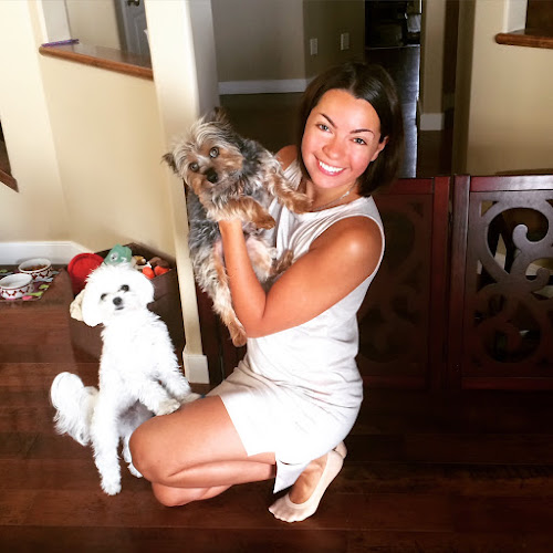 Dog Sitting Calgary