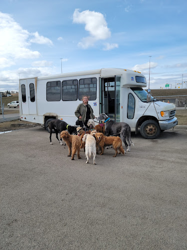 Playcation Pet Care