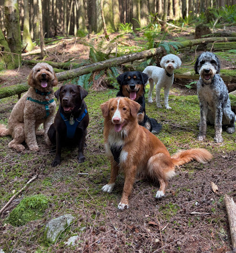 Douglas Dog Care