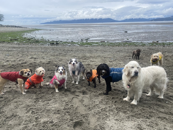 Got Bark? – Vancouver