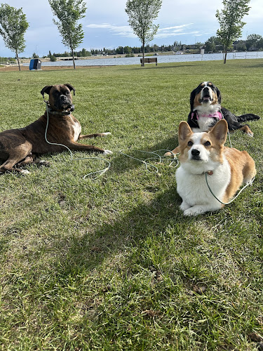 Rocky Mountain Hounds Ltd.