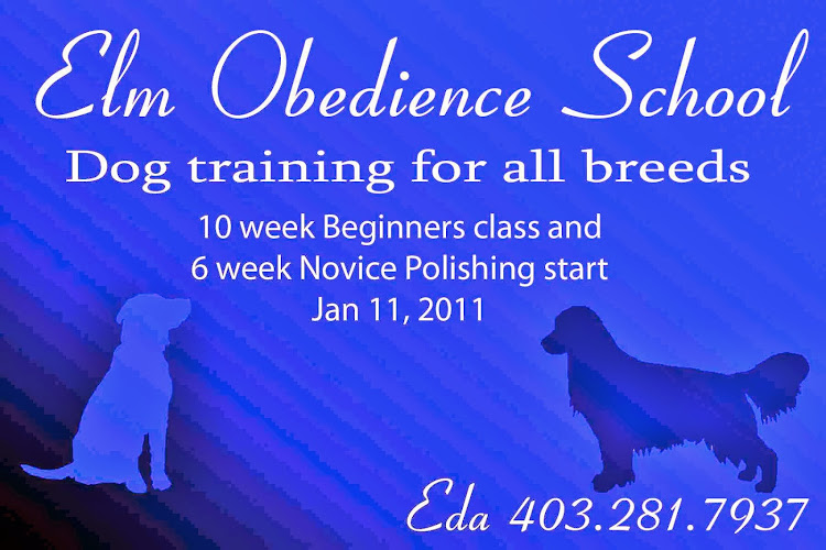 Elm Obedience School