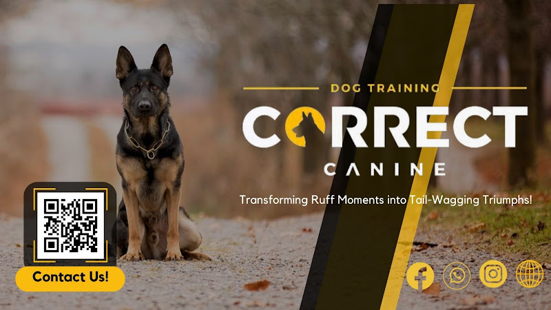Correct Canine Dog Training