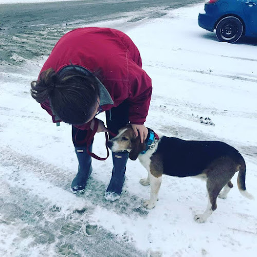 Dog House Animal Rescue