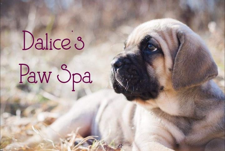 Dalice’s Paw Spa