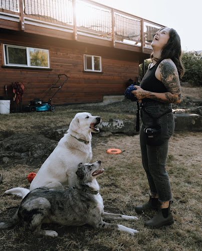 PuptodateDogs Training & Behaviour