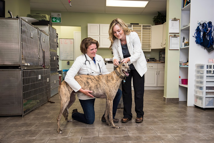 Eastern Passage Village Veterinary Hospital