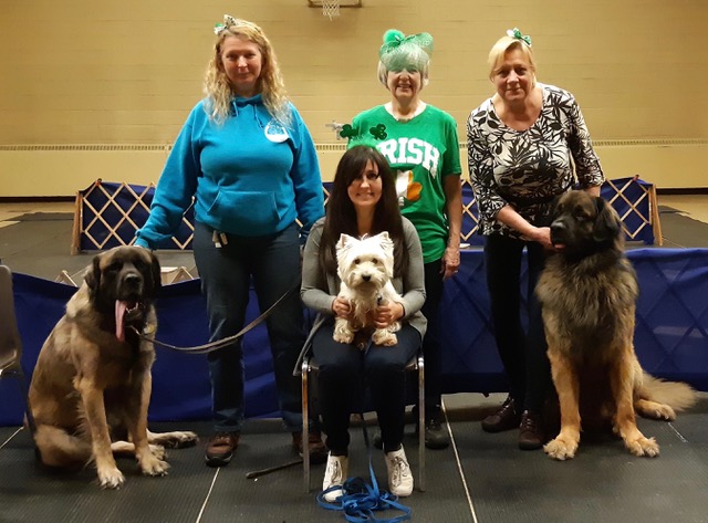 Swansea Dog Obedience Club
