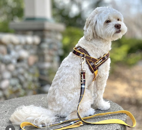 Puccissimé Pet Couture