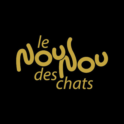 Le nounou des chats